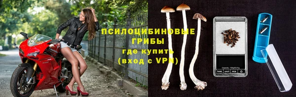 бошки Вяземский